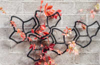 web-ecoo-tessaflower-2022-55.jpg