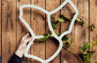 web-ecoo-tessaflower-2022-25.jpg