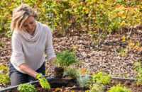 web-jv-ecoo-tuin-diy-garden-box-moestuinbak.jpg