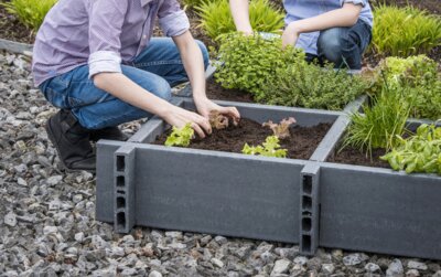 Garden Box Gemüsebeet