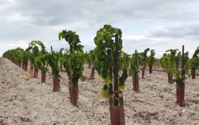 Gartenpfähle
