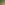 ecoo-2020-moestuinbak-24.JPG