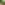 ecoo-2020-moestuinbak-21.JPG