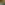 Pyrus Planter_Landscape.jpg