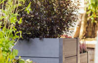 web-ecoo-kitchengarden-2022-25.jpg