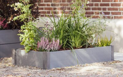 Kitchen Garden
