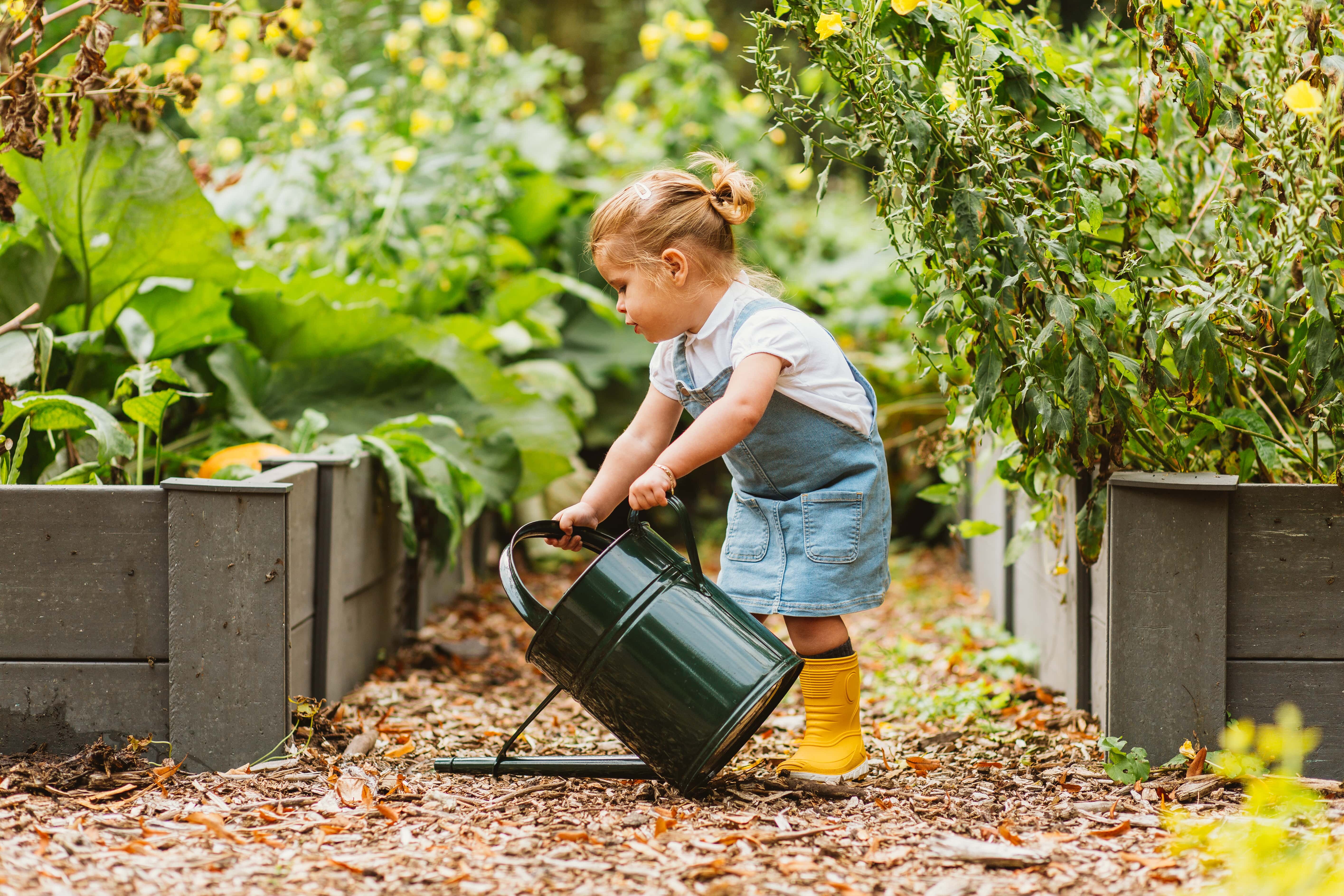 Water geven aan je planten: zo doe je dat!