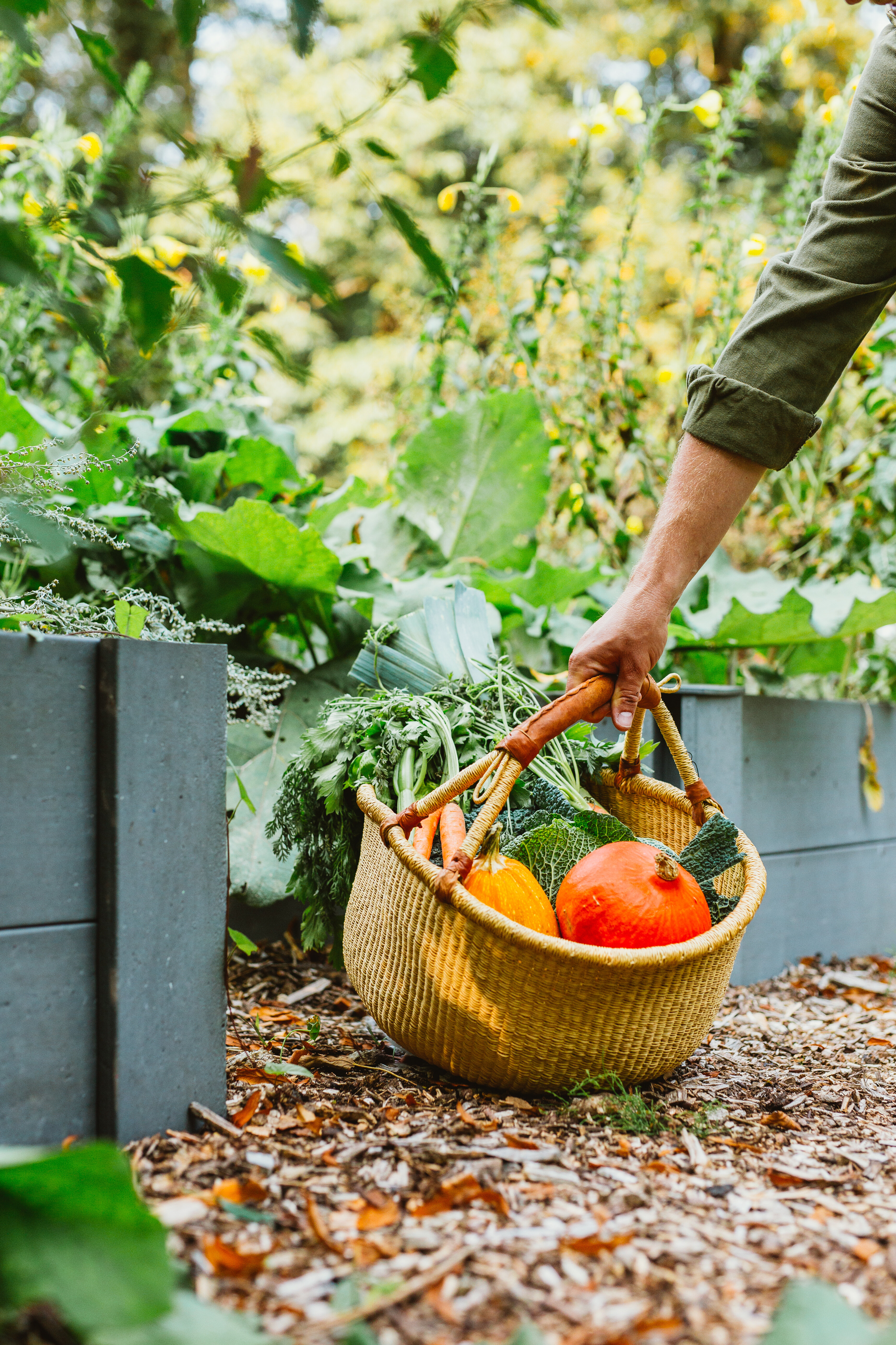 moestuin
