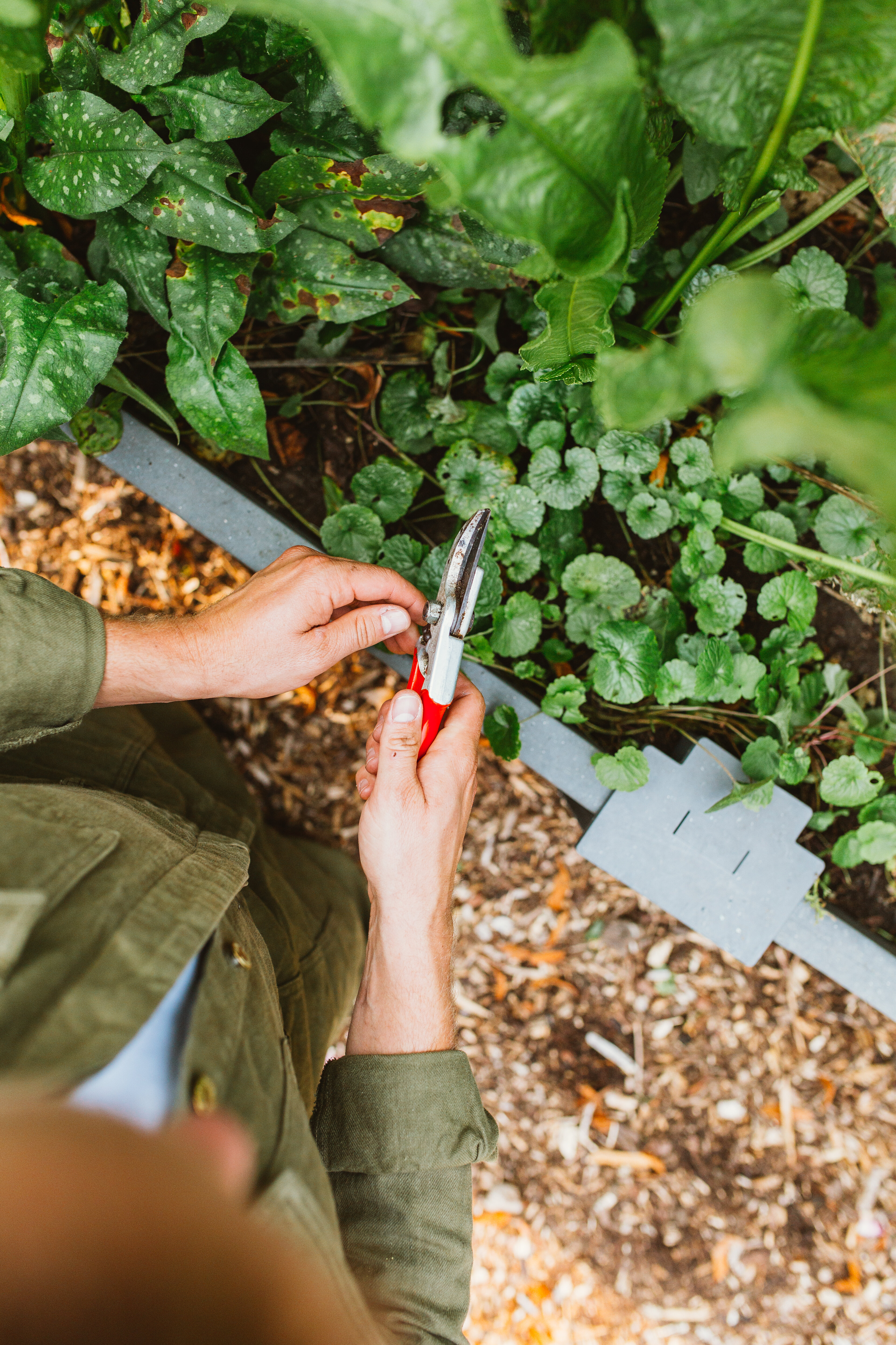 ecolat tuinafboording